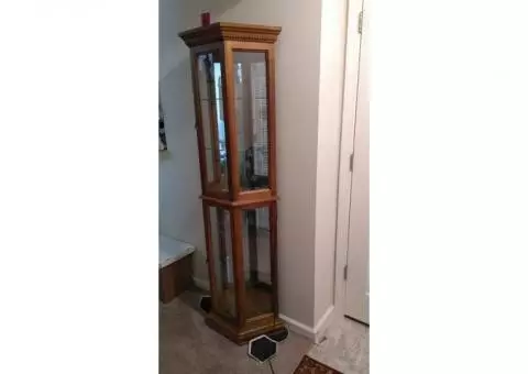 LIGHTED CURIO CABINET $70 OR BEST OFFER MUST SELL NEWINGTON